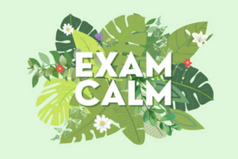 'Exam Calm' logo of leaves and and flowers.