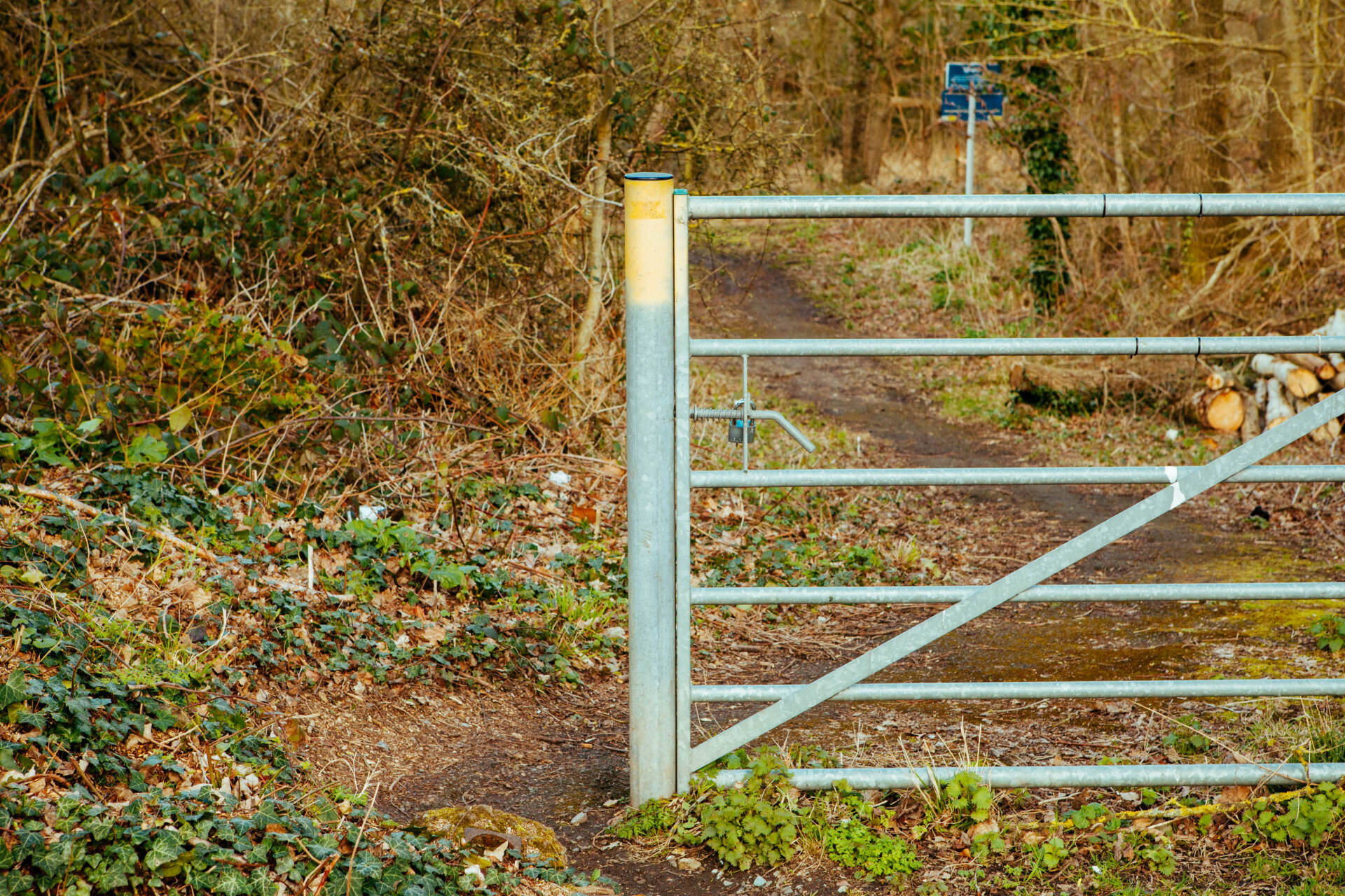 A woodland path and metal gate, with a sign in the background on the right.