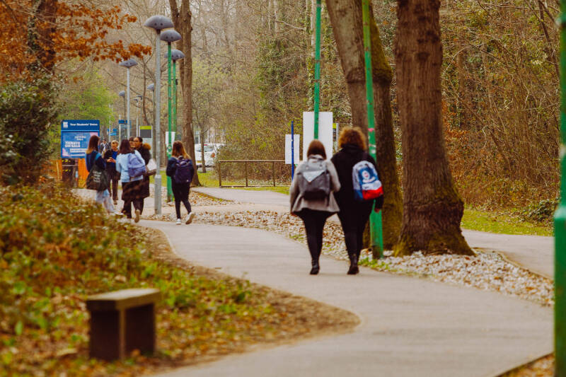 Students walking down a path, with a bench on the left and trees in the background.