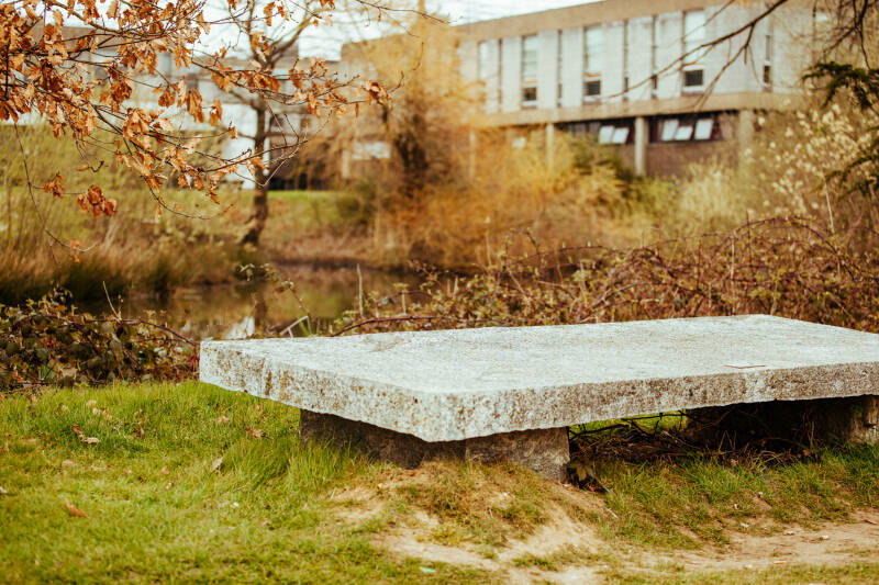 A stone bench and a pond.