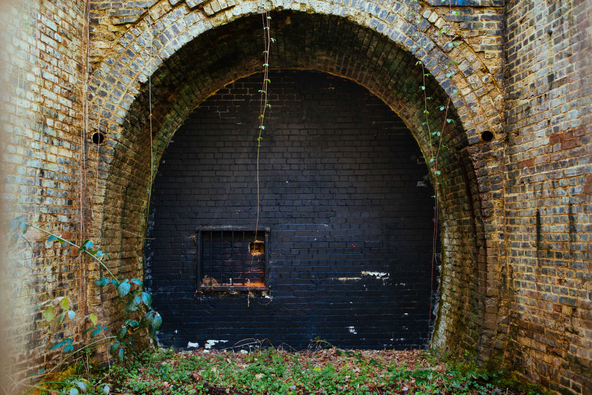 A blocked off tunnel and brick walls, with wildlife growing around.