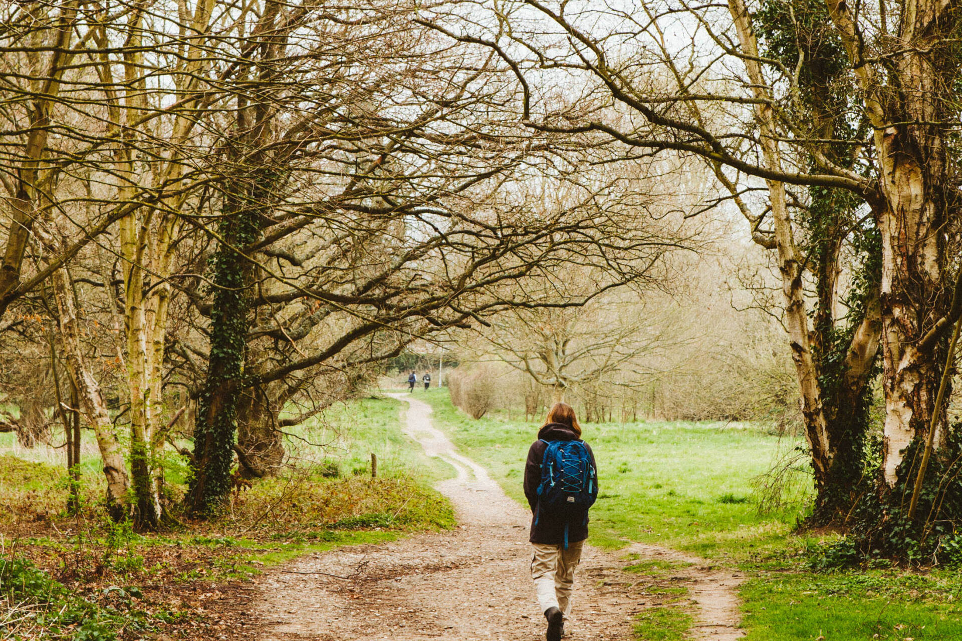 Someone walking down a dirt path with trees and greenery around.