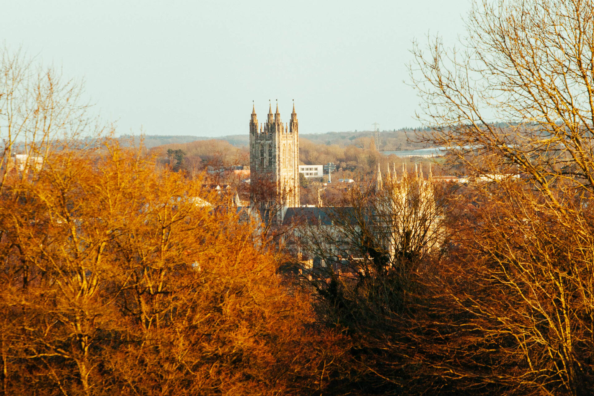 The Canterbury Cathedral surrounded by treesin the background and foreground.