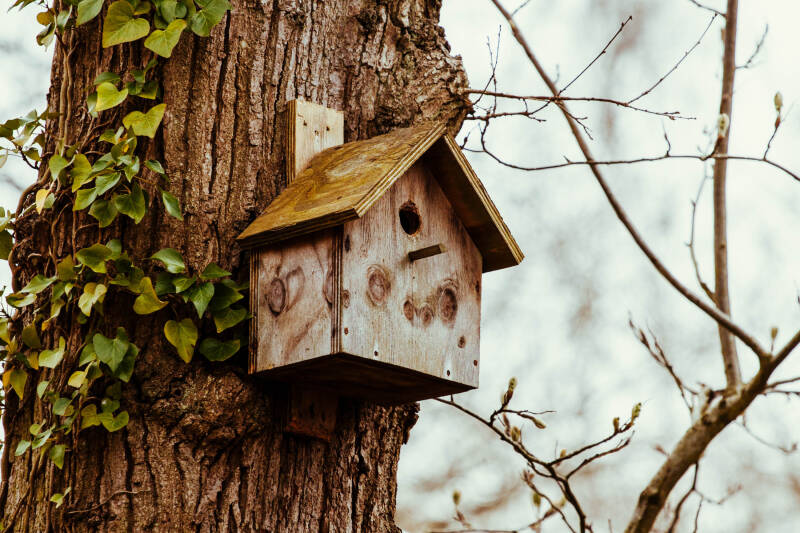 Wooden birdhouse on a tree.