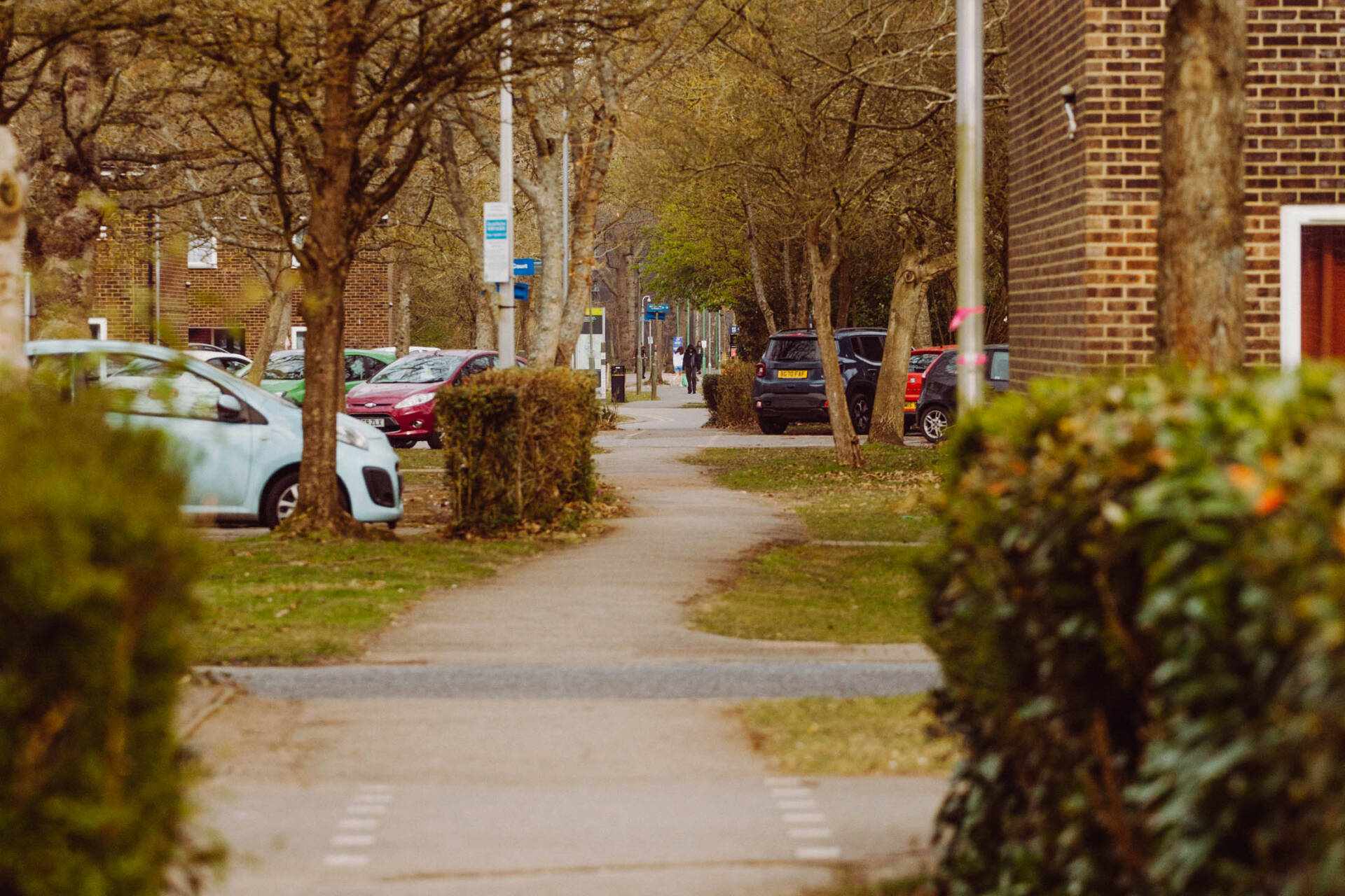 A path with cars parked on the left, and houses to the right.