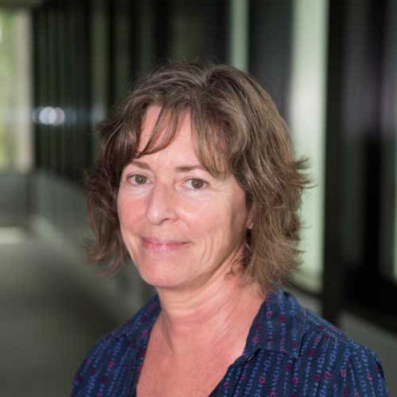 Professor Didi Herman