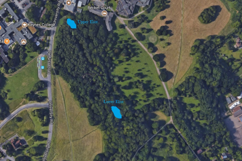 Satellite view of Upper Eliot Pond and Lower Eliot Pond at the University of Kent.