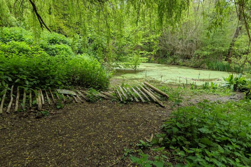 A pond in woodland with a broken fence.