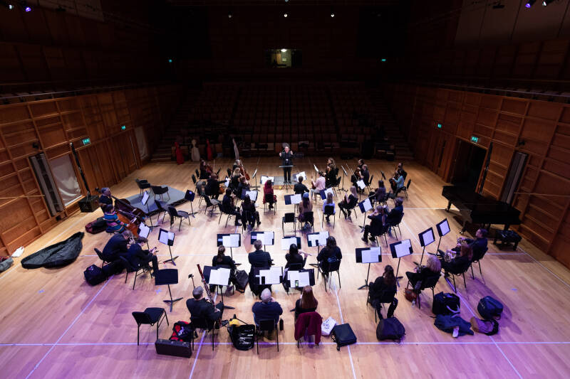 Dramatic photo of the view from behind and overlooking a group of orchestral players in a starkly-lit concert hall