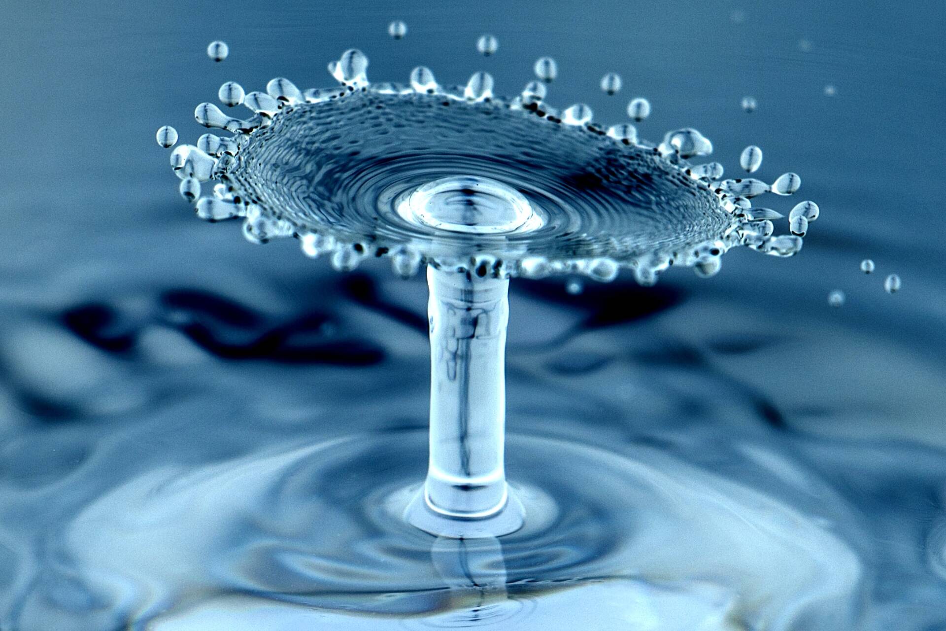 Two drops of water colliding