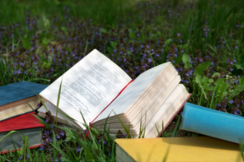 an open book, a closed yellow and blue book on a patch of grass.