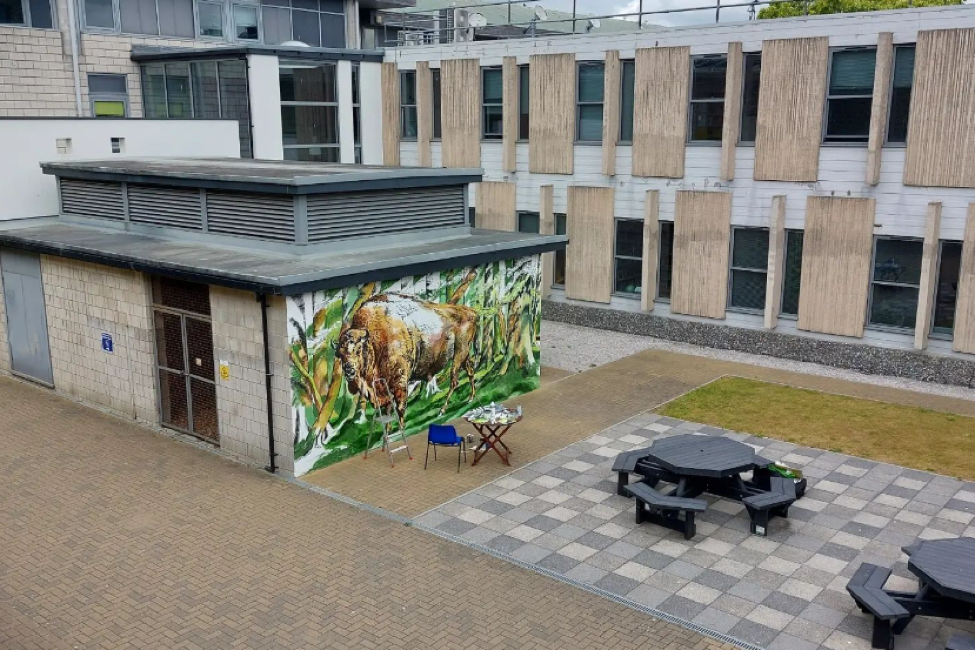 A Bison mural on a brick wall, near a building and benches.