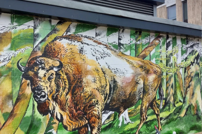 A Bison mural on a brick wall with colour added.
