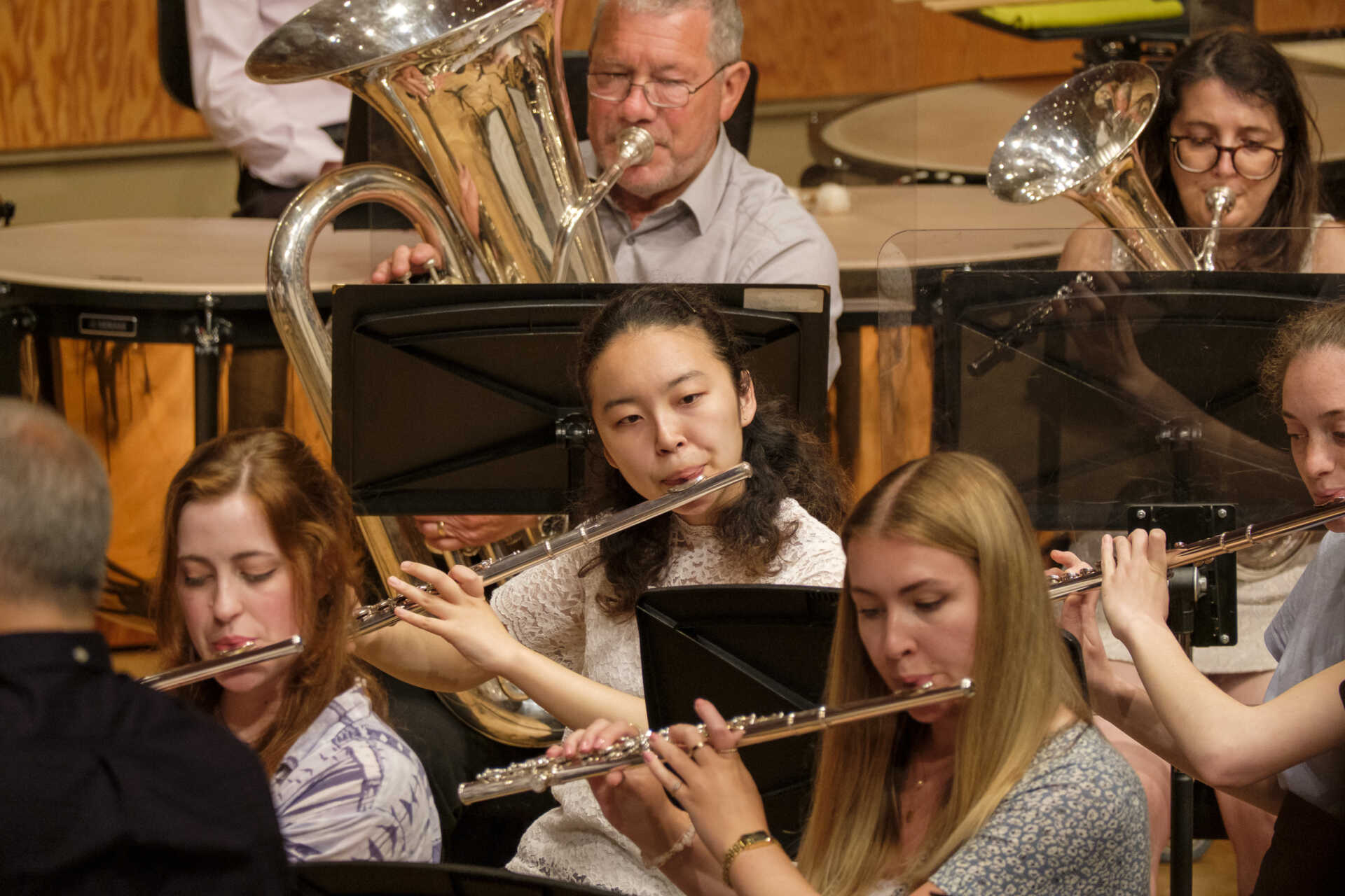 Wind and brass players performing in a concert