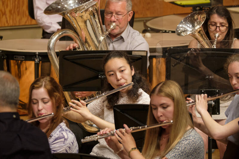 Group of woodwind and brass players performing