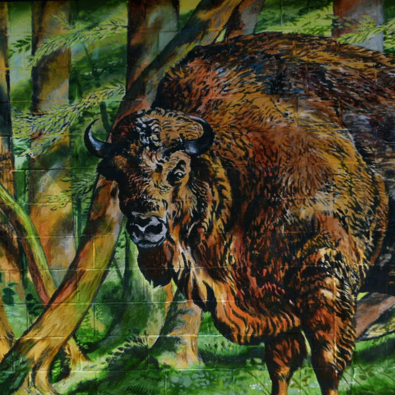Mural of a Bison