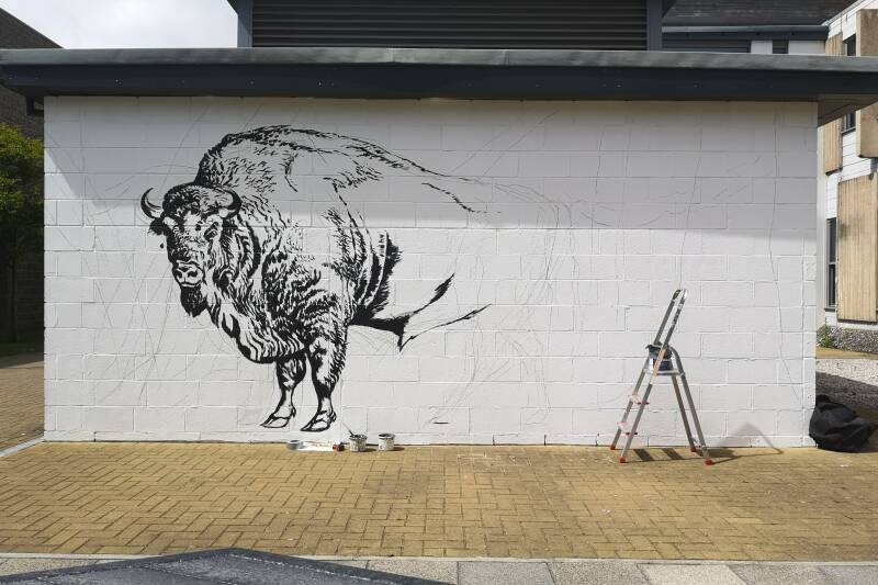 A sketch of the Bison on a white wall