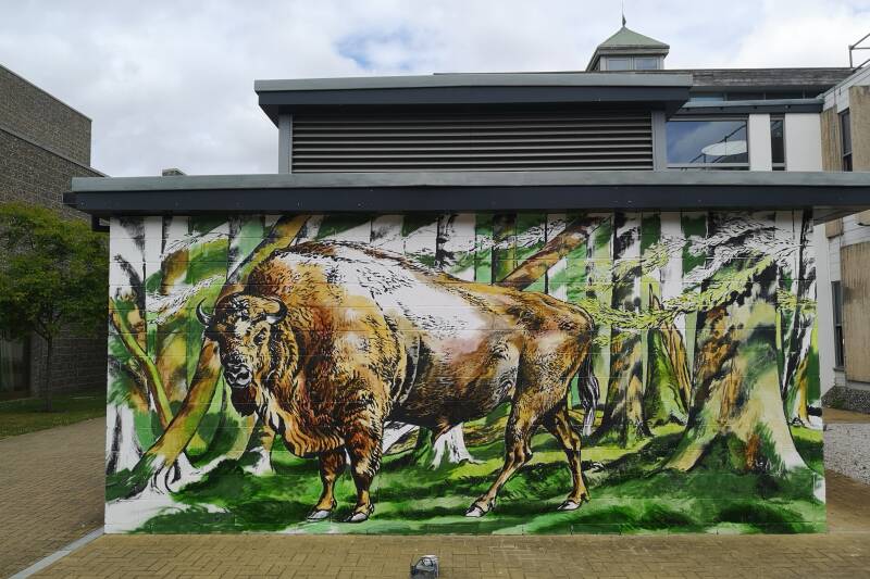 Colour being added to the mural of the Bison in the woods