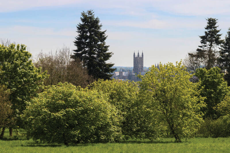 View of Canterbury Cathedral over trees.
