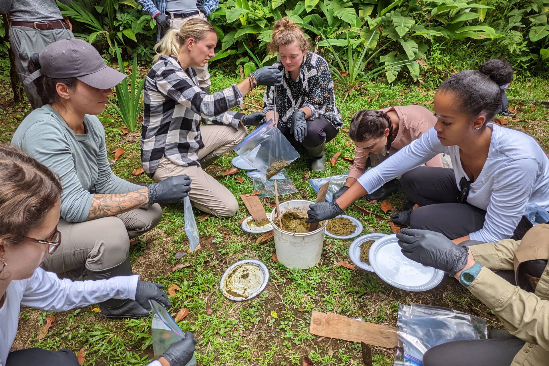 Students and lecturer work with cow dung samples in Costa RIca.