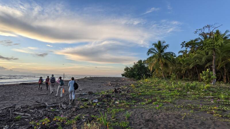 Students on a turtle census in Costa Rica