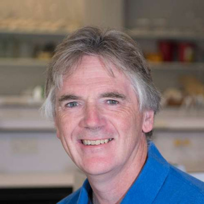 Portrait of Professor Martin Warren 