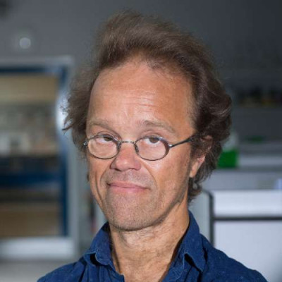 Portrait of Professor Dan Mulvihill 