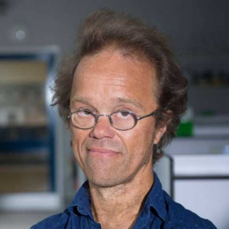 Professor Dan Mulvihill