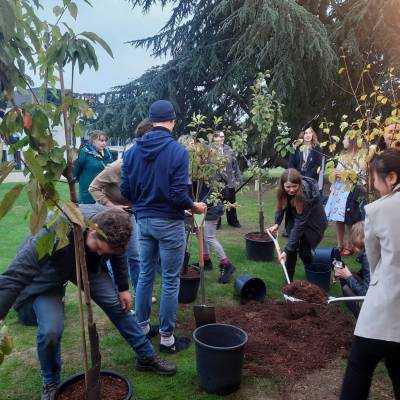 Ceremonial tree planting on campus