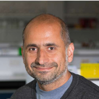 Portrait of Professor Neil Kad 