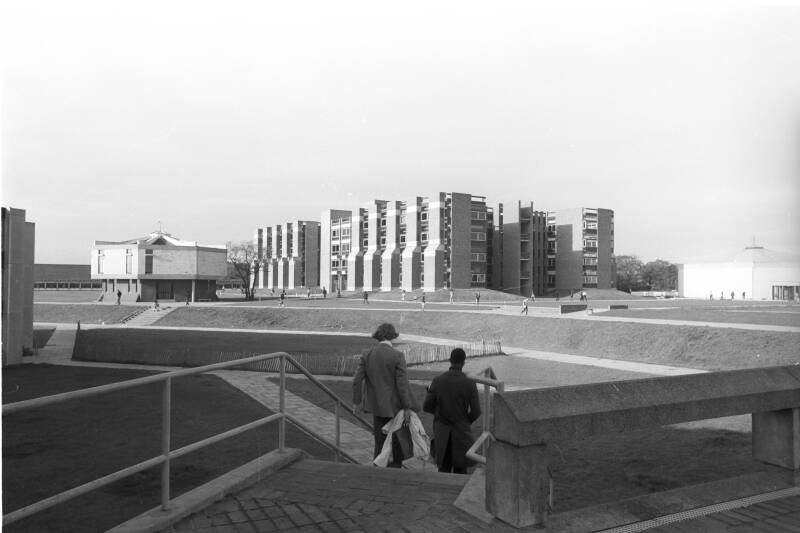 Two people viewed from behind walking down steps towards a concrete building.