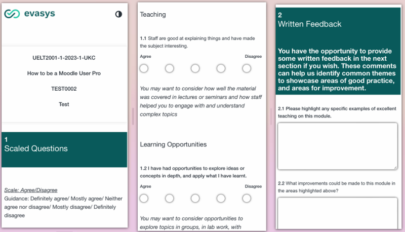 example of screens for survey replies