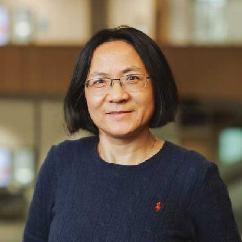 Professor Jing Ping Wang