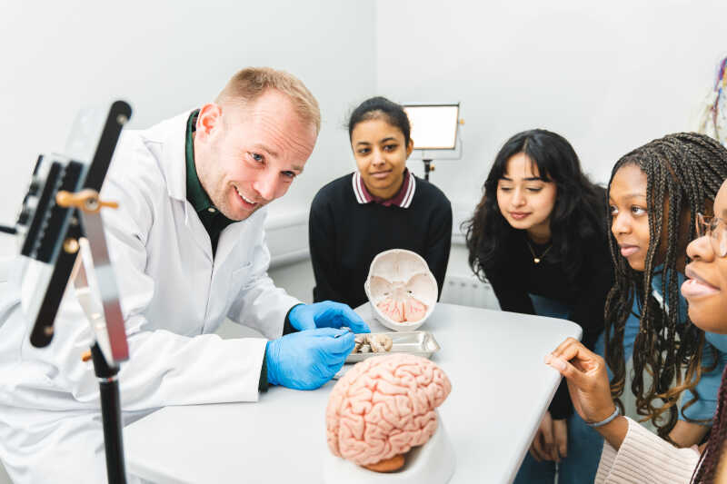 Markus Bindermann explains a model of the human brain to students.