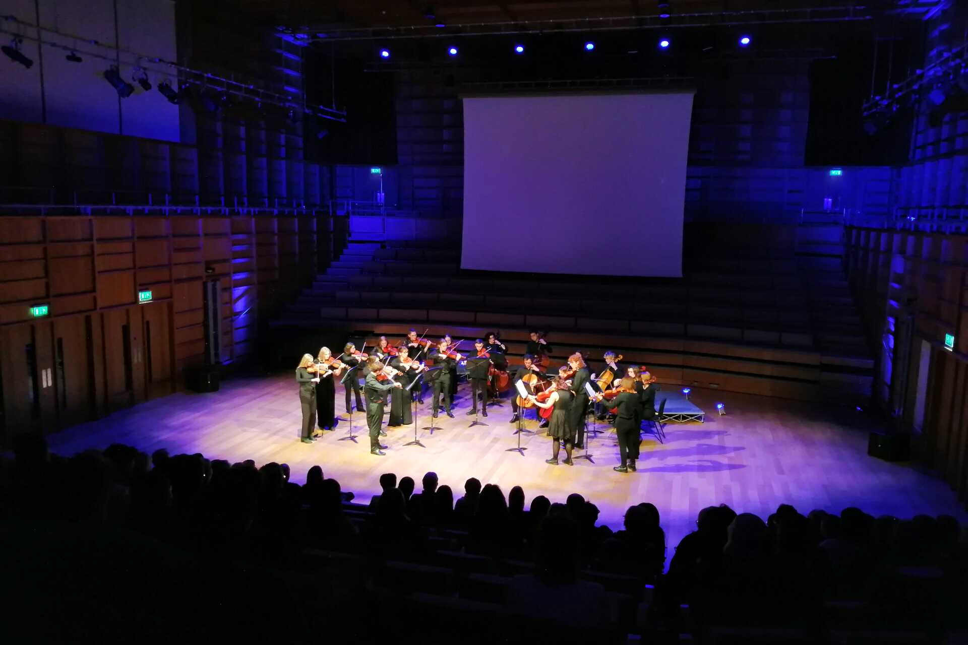 String orchestra performing in a concert hall