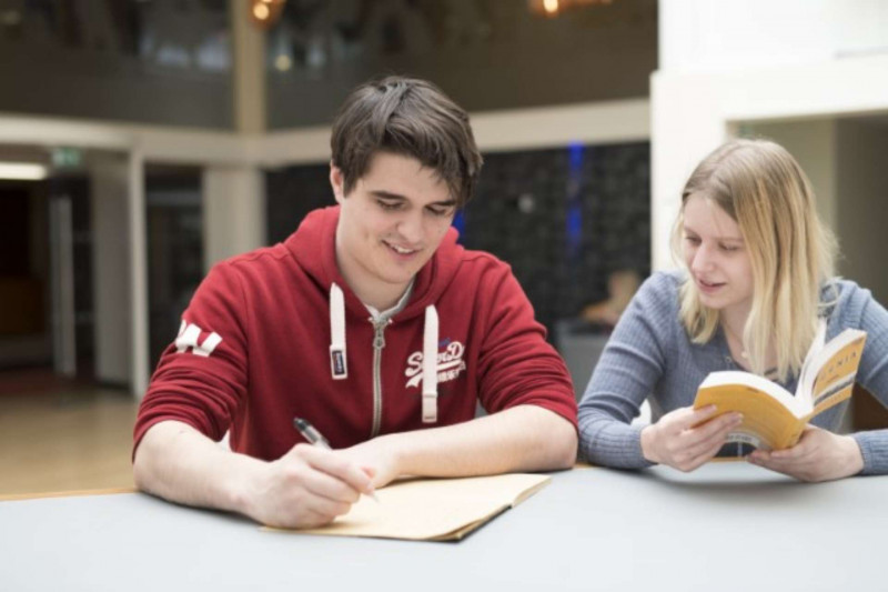 Students studying together.