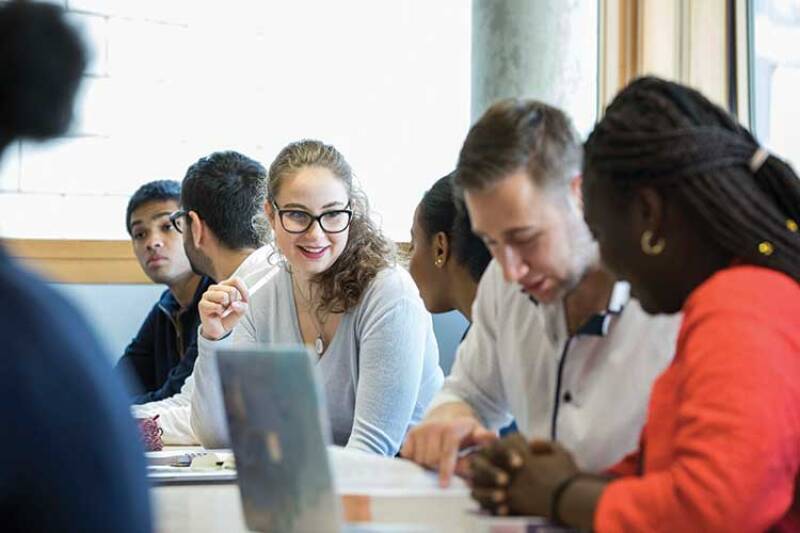 Mixed group of students studying together