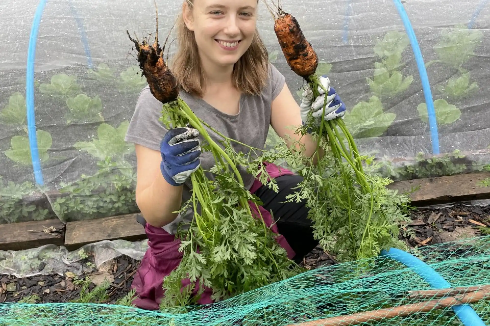 Sustainable Food Highlights Sustainability University of Kent