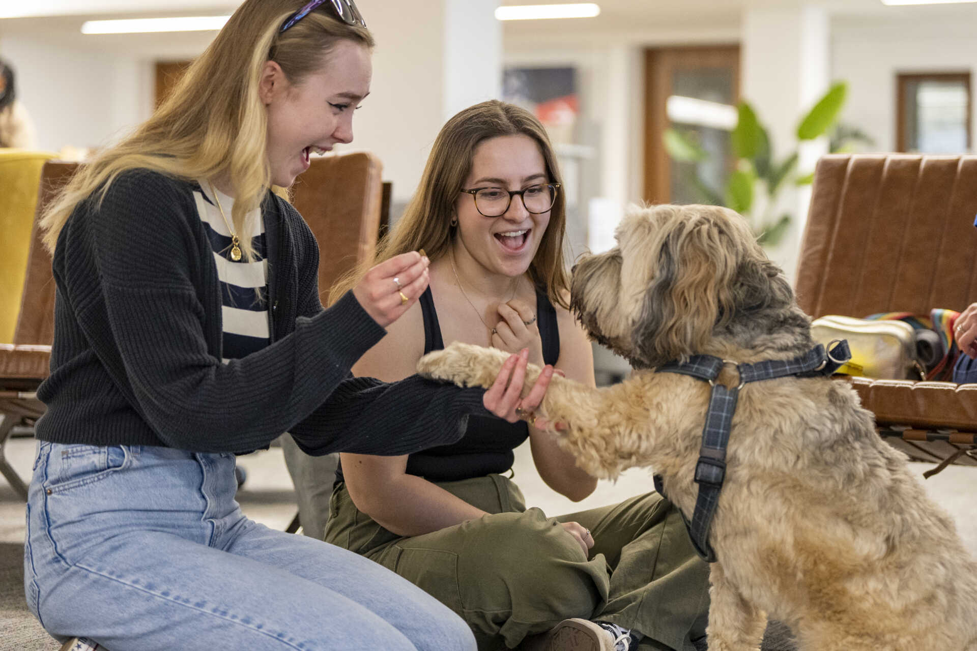 Students interacting with therapy dog