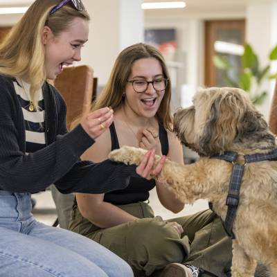 two university students giving treats and laughing with Coco the Dog