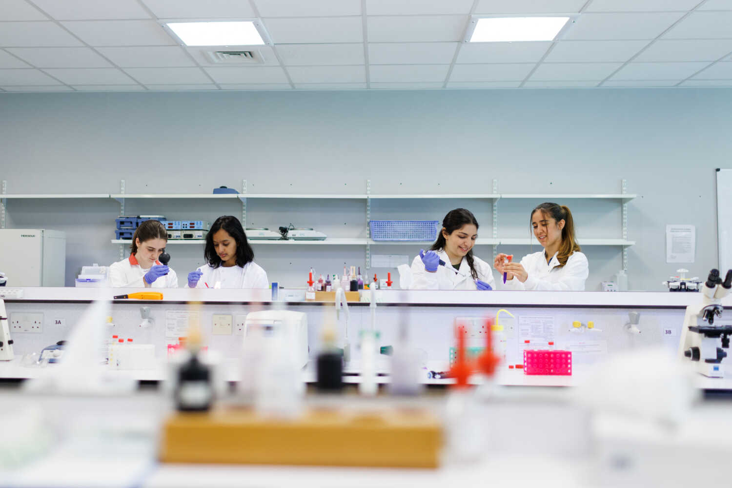 Facilities School of Biosciences University of Kent