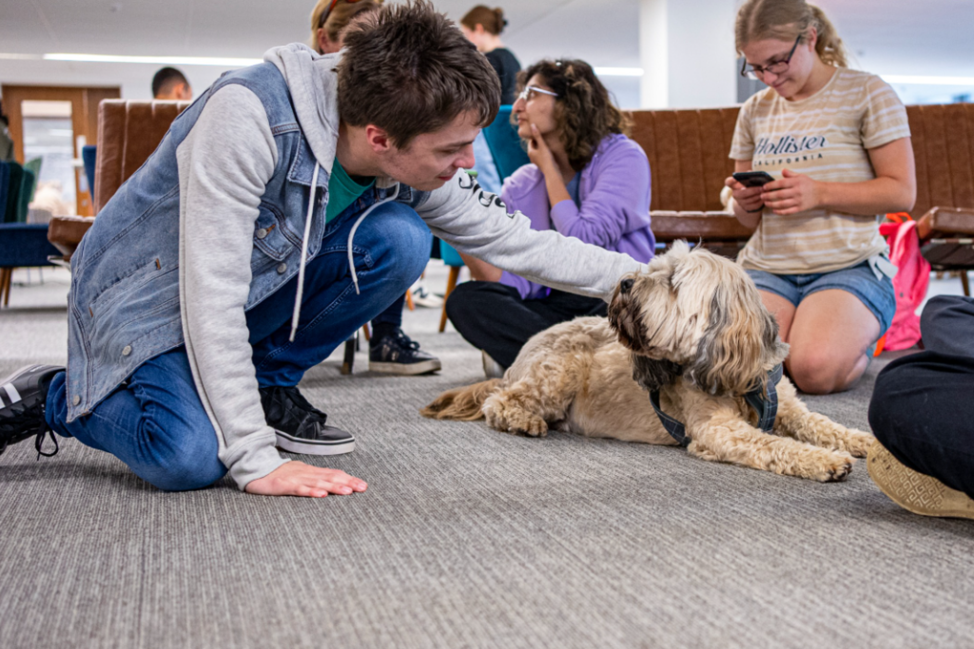 Students in Nexus area of Templeman Library with therapy dog.