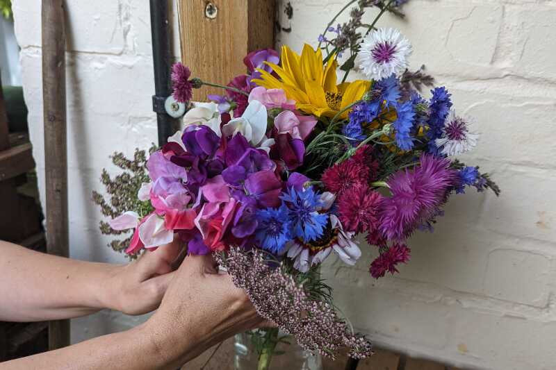 A bouquet of handpicked flowers with lots of blues, purples and pinks and a yellow sunflower in the middle.