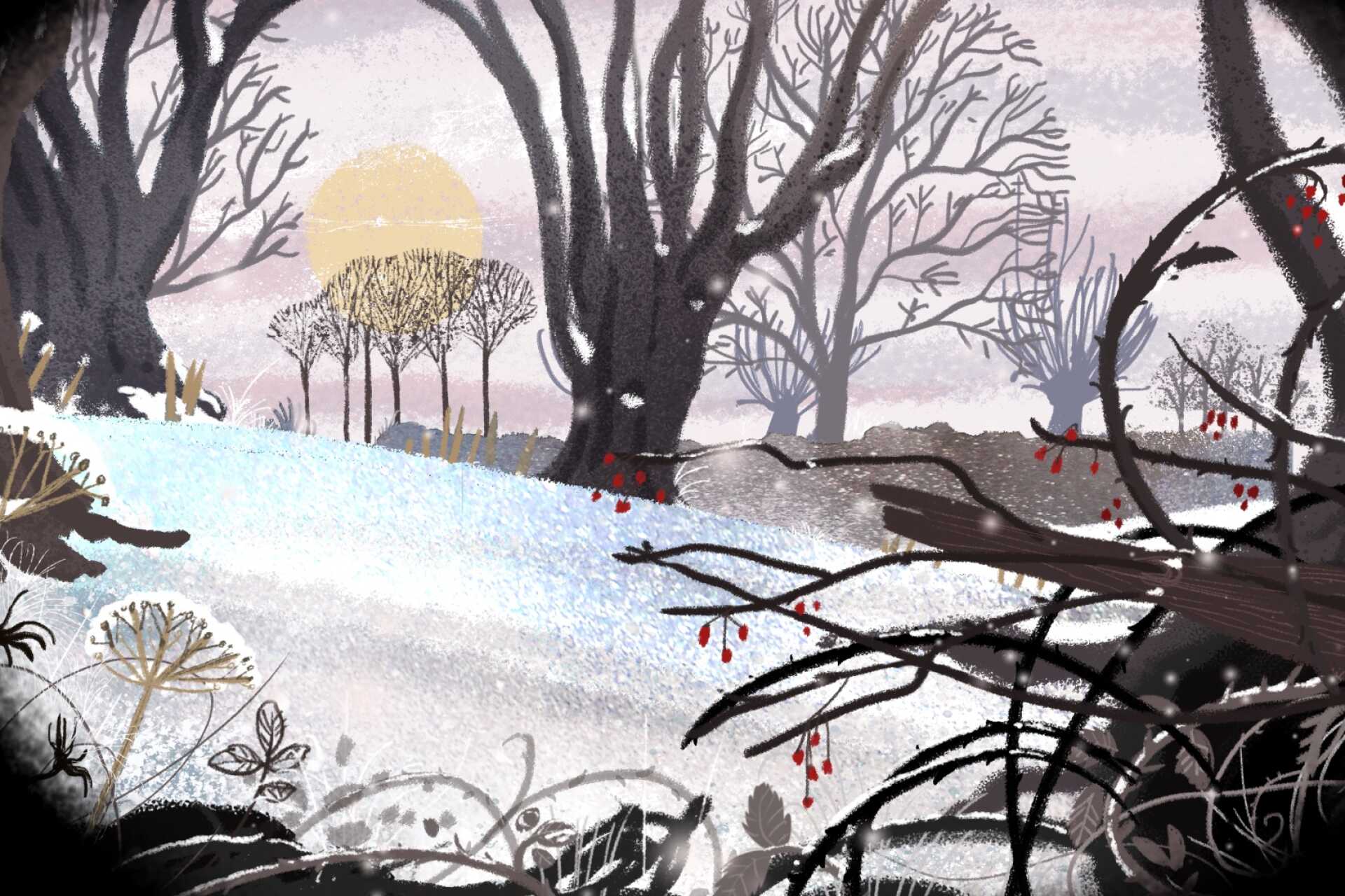 Wintry woodland graphic, snow and bare branches