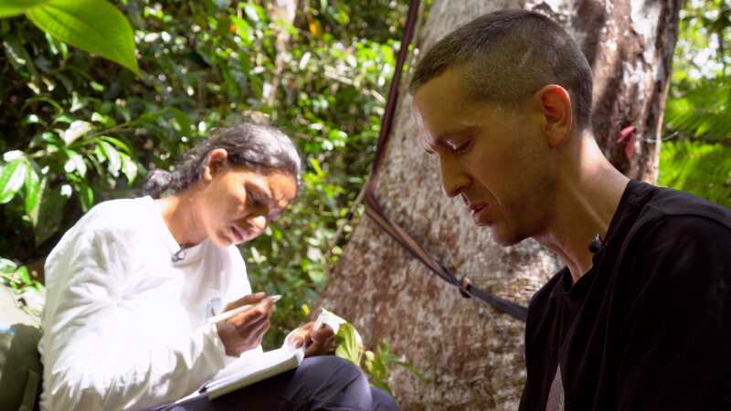 Field workers in Mauritius