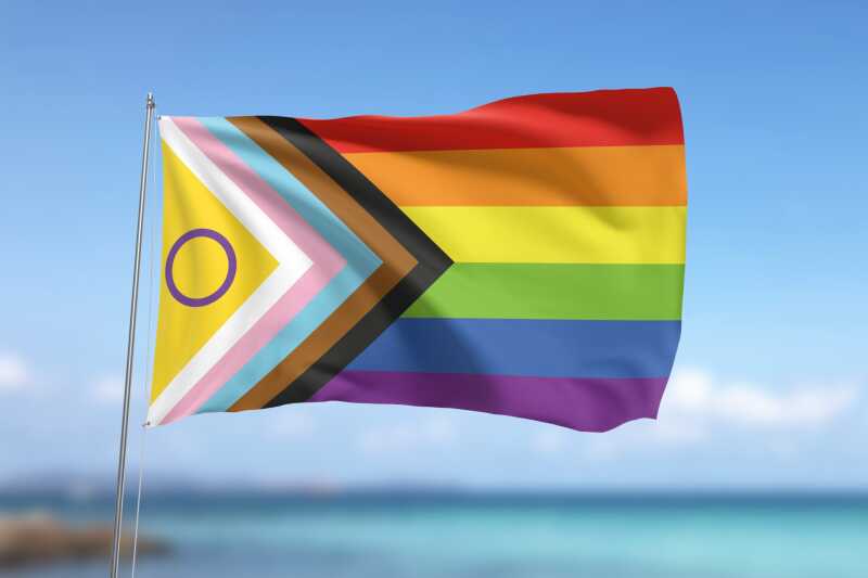 Intersex progress flag