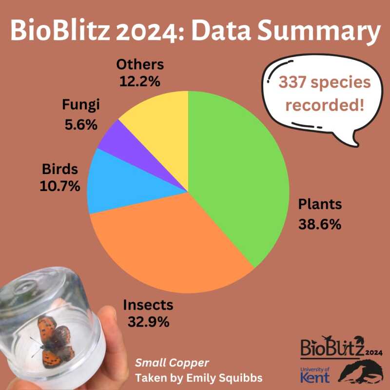 Infographic of data from the 2024 BioBlitz