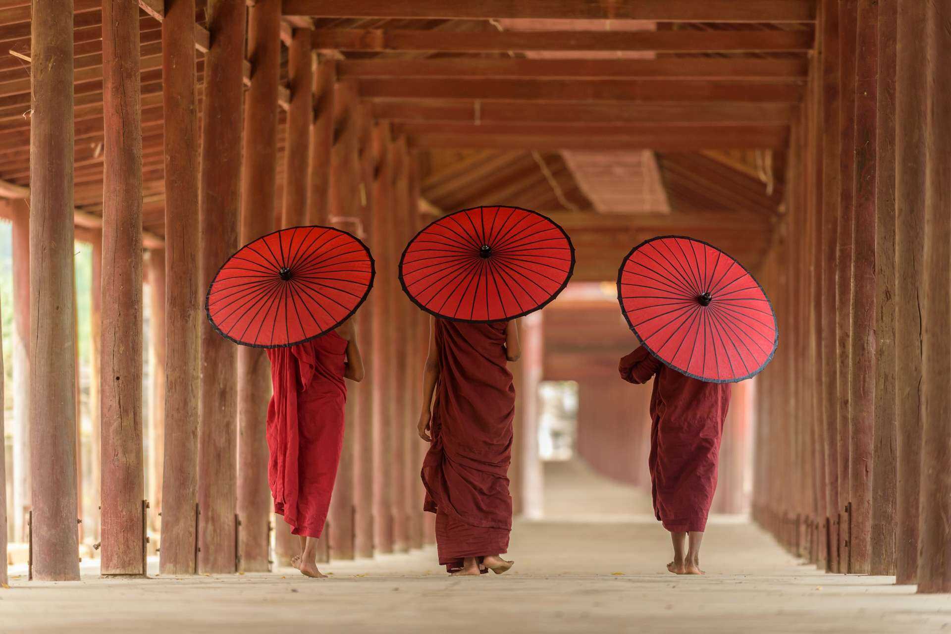 Three monks are walking away from the camera. They wear red robes and carry red parasols.
