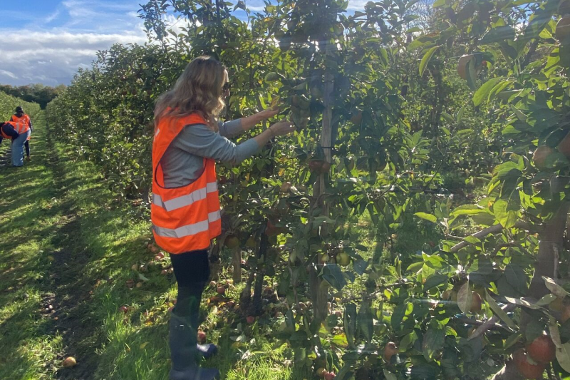 Gleaning initiative