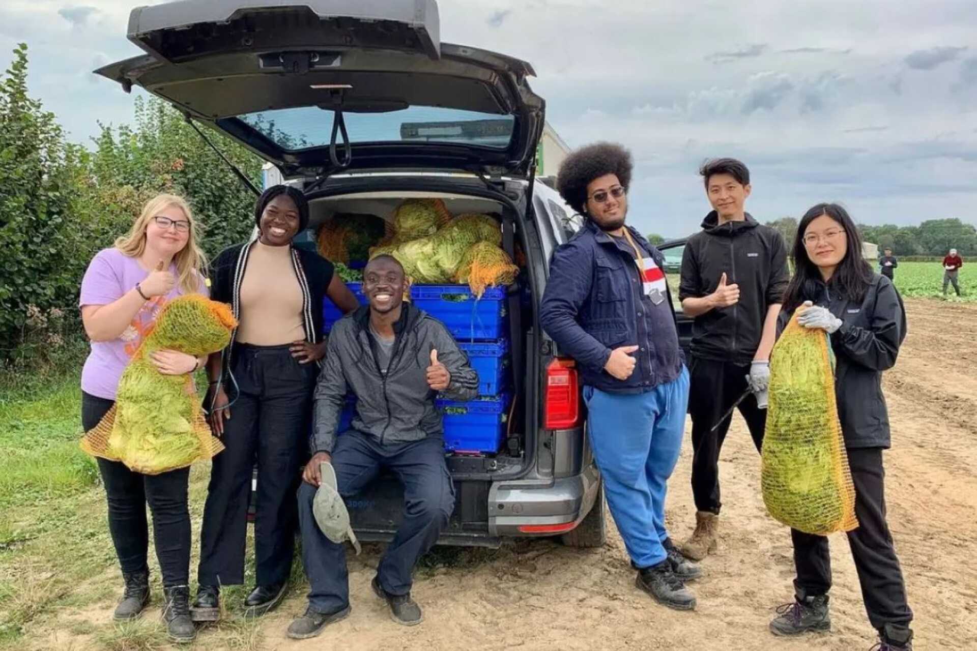 Students volunteering on the gleaning project